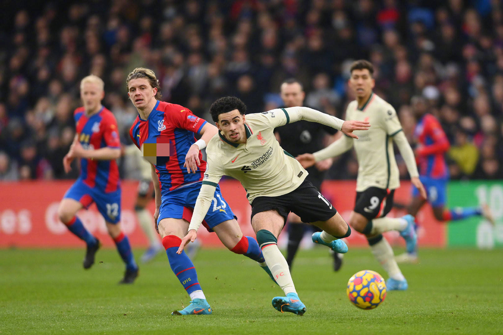 的俱乐部 的俱乐部